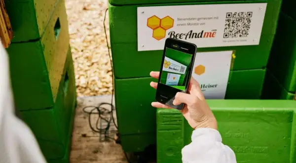 Ręka trzyma smartfon, który skanuje kod QR na zielonym ulu. Dowiedz się, jak zrobić skanowanie kodu, by monitorować dane pszczół.