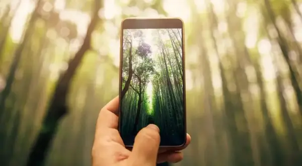Jaka jest najlepsza rozdzielczość aparatu w telefonie, aby nie żałować?